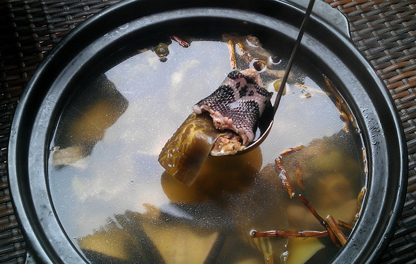 眼鏡蛇燉鱉湯,蛇肉,甲魚都是大補之物,肉質軟嫩,湯汁鮮美,尤其是甲魚