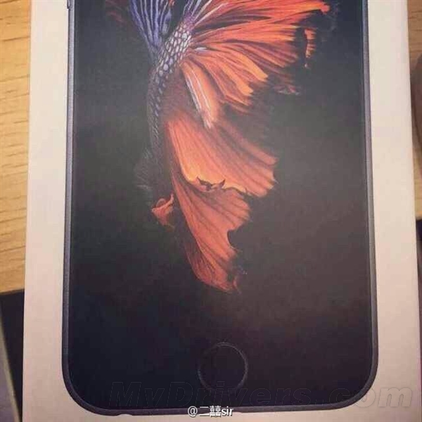 iPhone 6Sװع⣺ͻ䣡