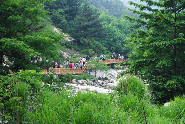 泰山東西大穿越 老虎口-泰山頂-桃花峪-彩石溪