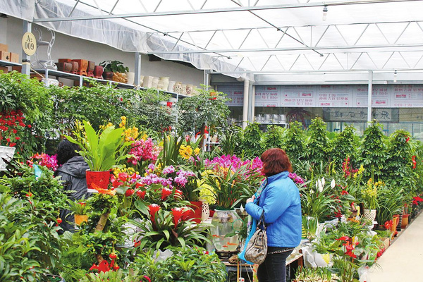 高端零售連棟溫室型花卉市場設計理念