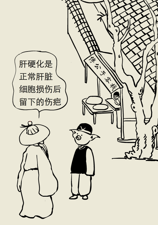 小大夫漫画:肝硬化