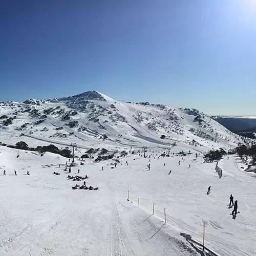 澳大利亚雪山滑雪图片