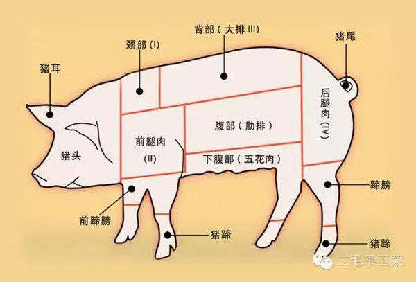 上下五花肉位置图图片