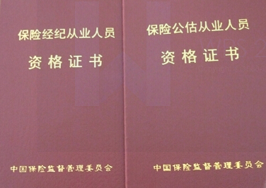 汽车保险公估师保险公估人