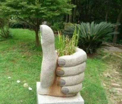 这才是真正的"握草"啊