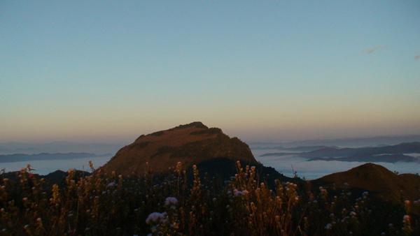 中国六大茶山之革登山