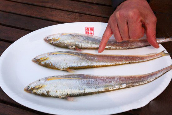 蕪湖美食攻略長江三鮮之刀魚