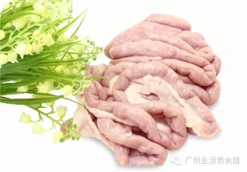 滑肠是什么意思 搜狐网