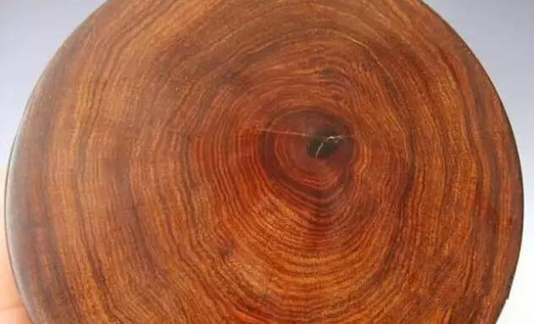 湛江红豆杉木材鉴定各种名贵木材鉴定