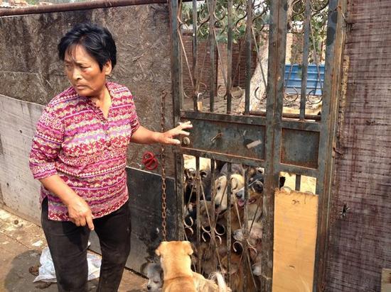 退休教师杨晓云在她位于中国天津的其中一个动物收容点。她已经救下几百只即将被屠宰的狗。(图片来源:《纽约时报》网站。