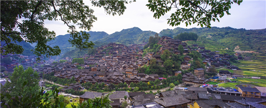 走進西江千戶苗寨 觀賞金秋田園美景