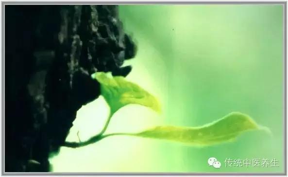 北京中医药大学生命科学学院官网_从中医的角度重新诠释生命