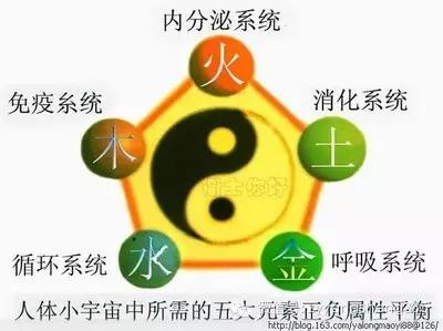 北京中医药大学生命科学学院官网_从中医的角度重新诠释生命