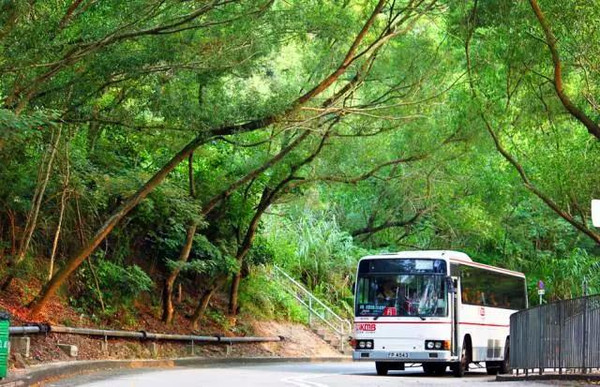 盤點港囧中的上鏡景點,這才是香港新玩法_搜狐旅遊_搜狐網