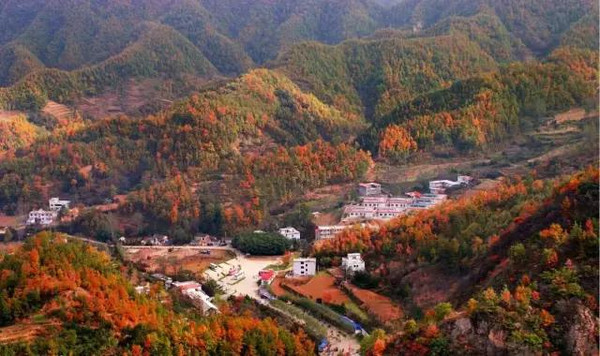 杨树坪村是河南省境内海拔最高的行政村,国家aaaa景区,伏牛山