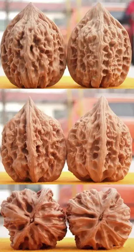 真假核桃,看一看,你就明白