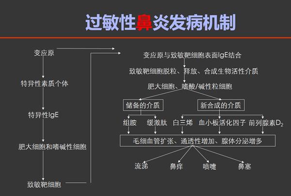 季节性过敏性鼻炎怎么预防,怎么治疗?