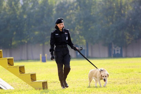 警花與警犬熱拍中侯夢莎親力親為照顧警犬