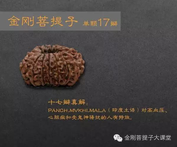 金刚菩提个数的含义(金刚菩提每种瓣数寓意详解，不懂的可以看看)