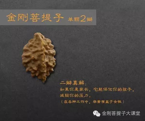 金刚菩提个数的含义(金刚菩提每种瓣数寓意详解，不懂的可以看看)