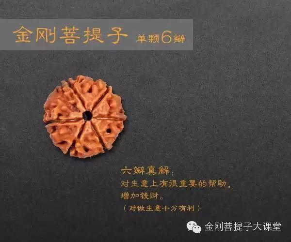 金刚菩提个数的含义(金刚菩提每种瓣数寓意详解，不懂的可以看看)
