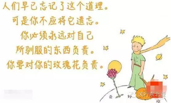 小王子电影解说_2015年最具观影价值口碑大片《小王子》教你谈恋爱