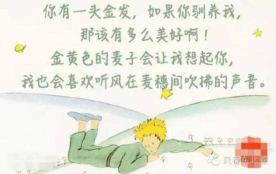 小王子电影解说_2015年最具观影价值口碑大片《小王子》教你谈恋爱