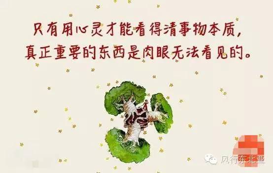 小王子电影解说_2015年最具观影价值口碑大片《小王子》教你谈恋爱