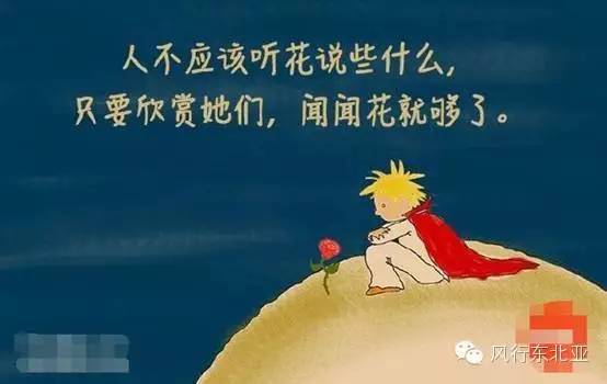 小王子电影解说_2015年最具观影价值口碑大片《小王子》教你谈恋爱