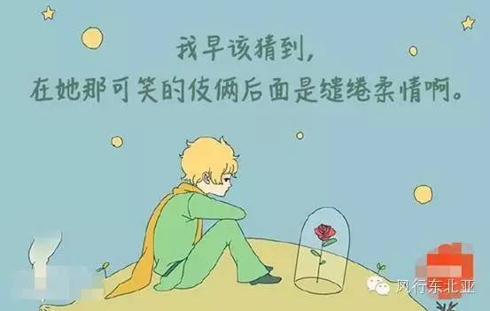 小王子电影解说_2015年最具观影价值口碑大片《小王子》教你谈恋爱