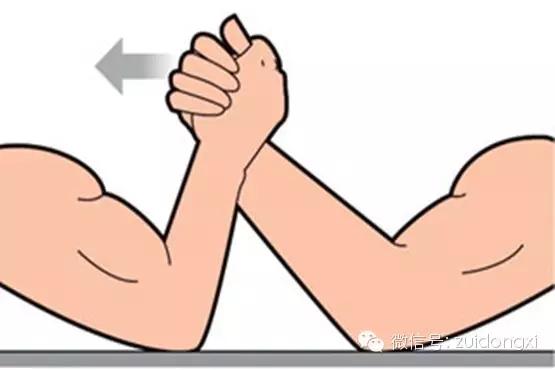 掰手腕受力分析图图片