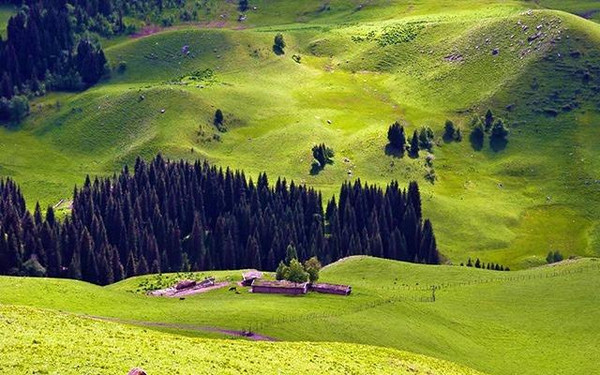 美到窒息的空中大草原—新疆伊犁 琼库什台