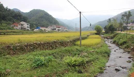 栗子山村扶贫建设形势喜人