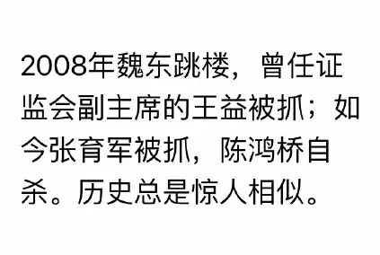 【快讯】国信证券总裁陈鸿桥自杀 曾任张育军助手