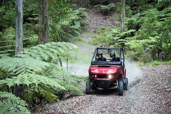 gibbs terraquad atv沙滩车