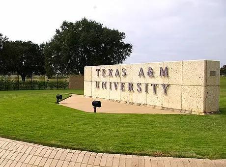德国萨克森州的大学图片
