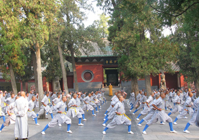 一般学校能直接转学到少林寺武术学院吗