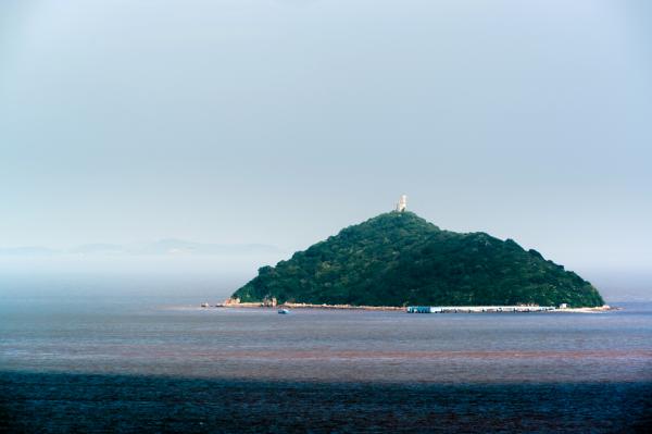 上海最大無人島將成景點有150多隻獼猴