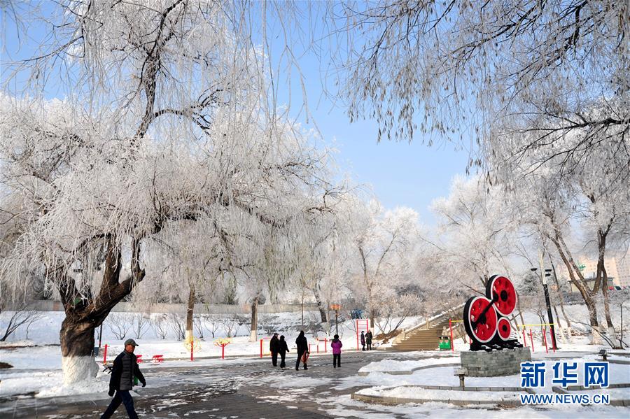 初冬雪城呈现雾凇美景(组图)