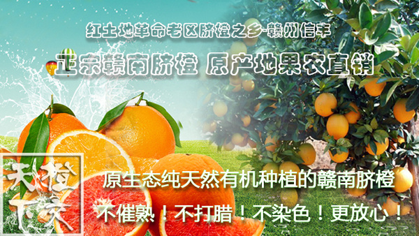 你知道赣南脐橙和普通脐橙有那些区别吗?