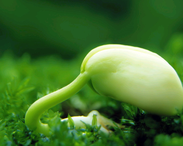 教师资格证面试问专业是什么意思_教师资格证面试各专业自我介绍的区别