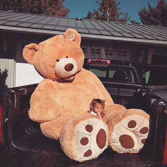 美国一家超市开始卖2米3的巨熊后歪果仁都疯了