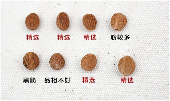 文玩大神教你diy野枣核手串,就是这么简单!