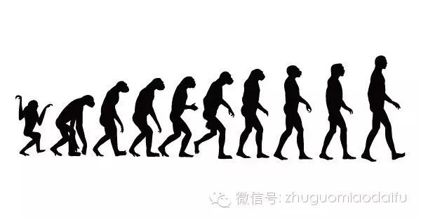 在漫长的人类进化过程中,四肢爬行的大猩猩逐步进化成人,这个过程也就