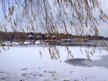 长春南湖公园雪景图