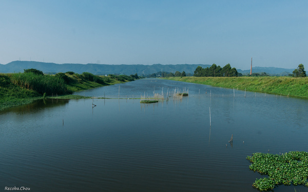潼湖湿地图片