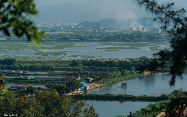 潼湖湿地公园图片图片