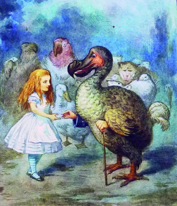 爱丽丝与渡渡鸟碰面的情景,出自2015年出版的《爱丽丝漫游奇境》150
