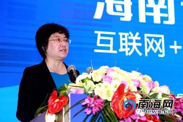 海南省副省长何西庆在海南省互联网大会中致辞 11月20日上午,2015年