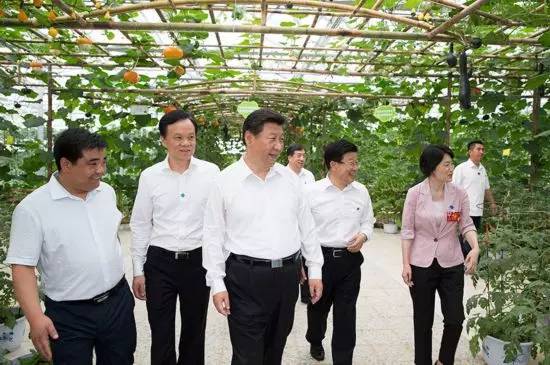 图为:2015年6月16日下午,习近平在遵义县枫香镇花茂村视察现代高效农业智能温控大棚。